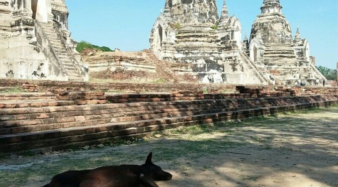 Ayutthaya 
