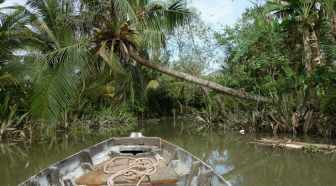 Vergers de Vinh Long